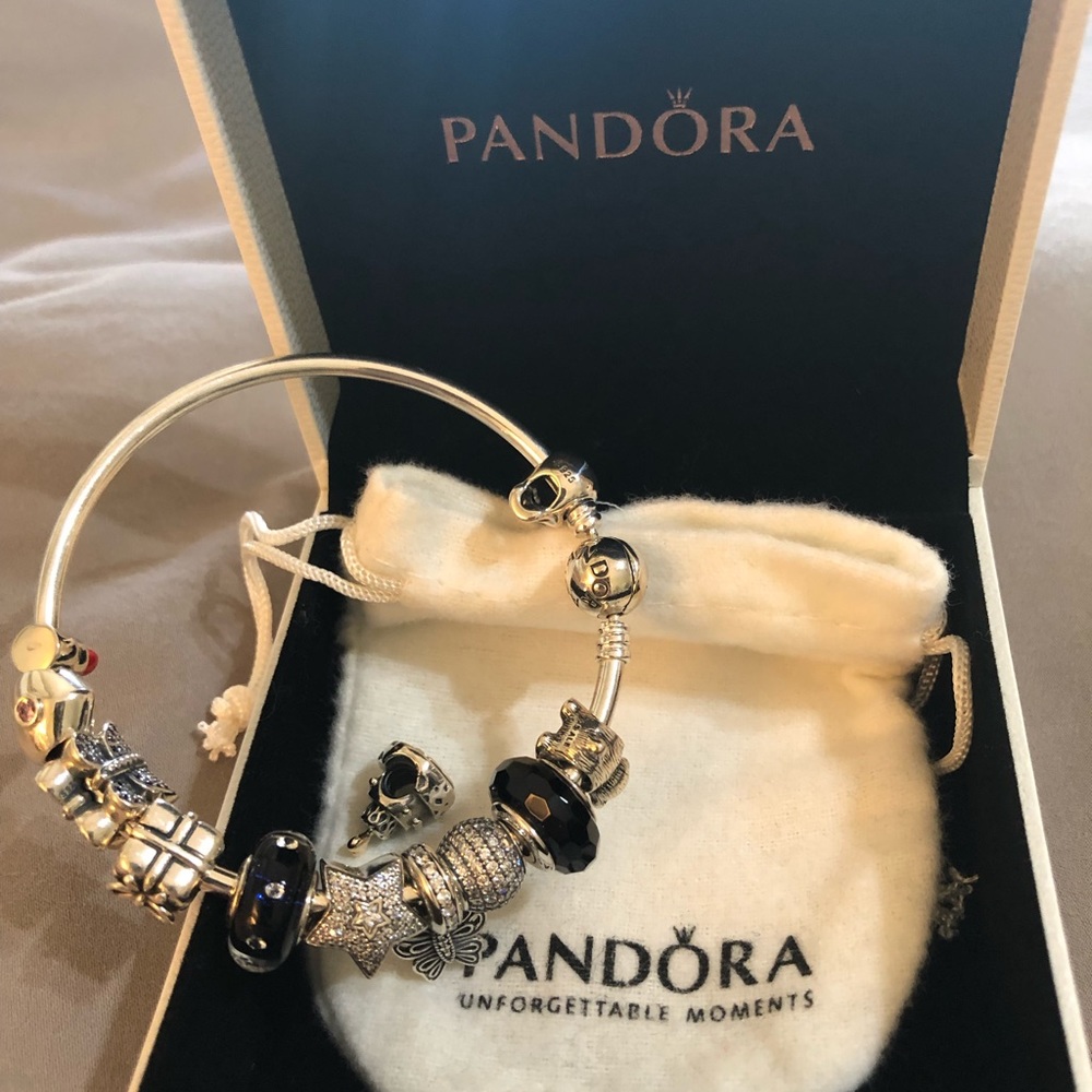 Pandora bracelet never worn